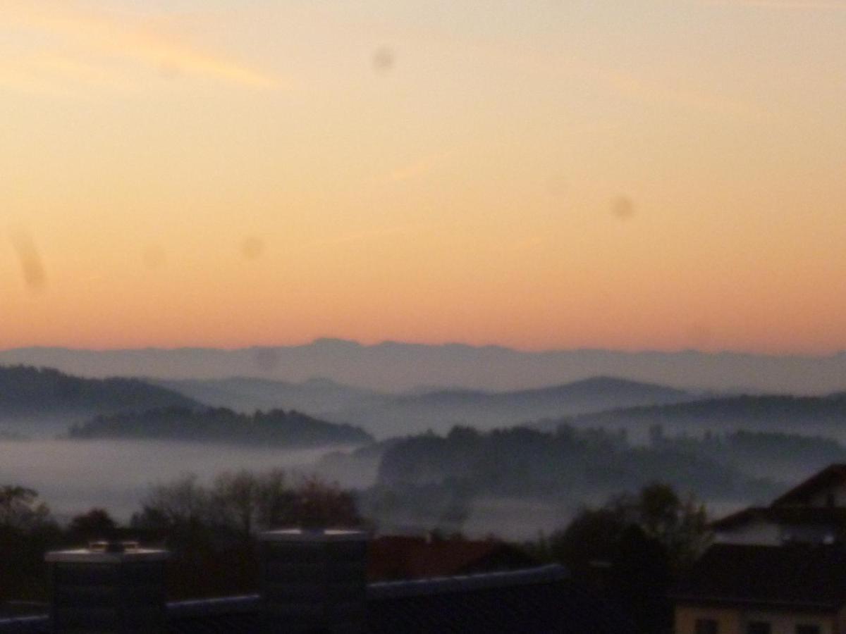 Ferienwohnungen Alpenblick Mit Garten -Panoramasauna- Kirchdorf im Wald Eksteriør billede