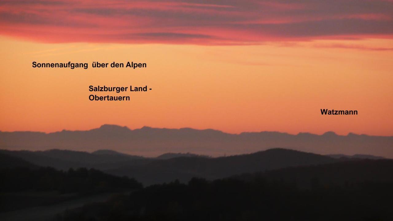 Ferienwohnungen Alpenblick Mit Garten -Panoramasauna- Kirchdorf im Wald Eksteriør billede