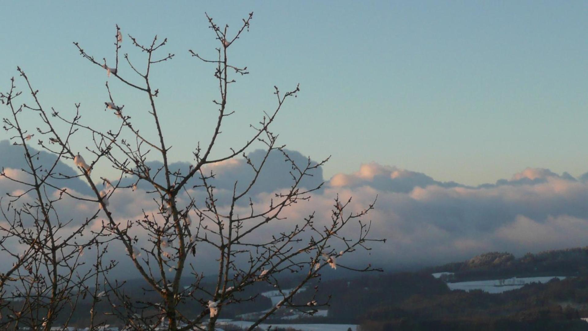 Ferienwohnungen Alpenblick Mit Garten -Panoramasauna- Kirchdorf im Wald Eksteriør billede
